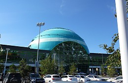 Туристка неделю не может найти потерянную в аэропорту кошку 