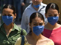 H1N1 не ощутил языкового барьера