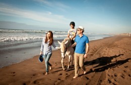 «АРТ-ТУР» рекомендует Мazagan Beach & Golf Resort 5* deluxe для семейного отдыха