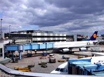 Евротуристов везут по земле