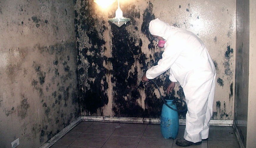 Законсервированным отелям Юго-Восточной Азии угрожает плесень