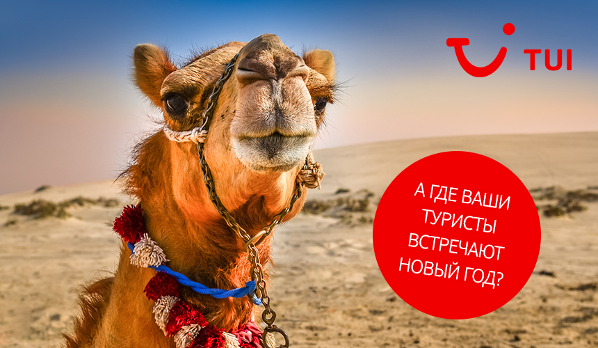 Мы знаем, что будут делать туристы TUI на Новый год в ОАЭ
