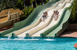 Сардиния от «ИНФЛОТ» FORTE VILLAGE RESORT ждет гостей. Сезон-2019