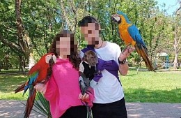 В Сочи задержали фотографа, который требовал с туристов 20 тысяч за фото с попугаем