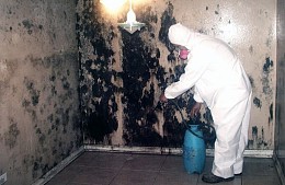 Законсервированным отелям Юго-Восточной Азии угрожает плесень