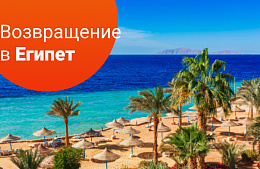 Прямой эфир: возвращение в Египет